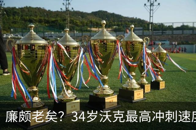 廉颇老矣？34岁沃克最高冲刺速度排英超第80位